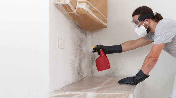 Professional Bathroom Mold Removal technician working in Austell, GA